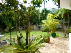 Bukit Timah Road (D21), Detached #486077161